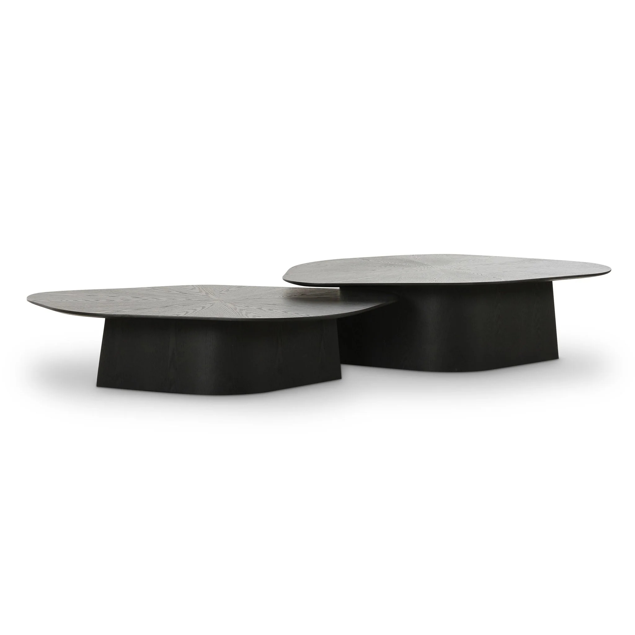 Roche Black Ash Low Coffee Table - Image 5