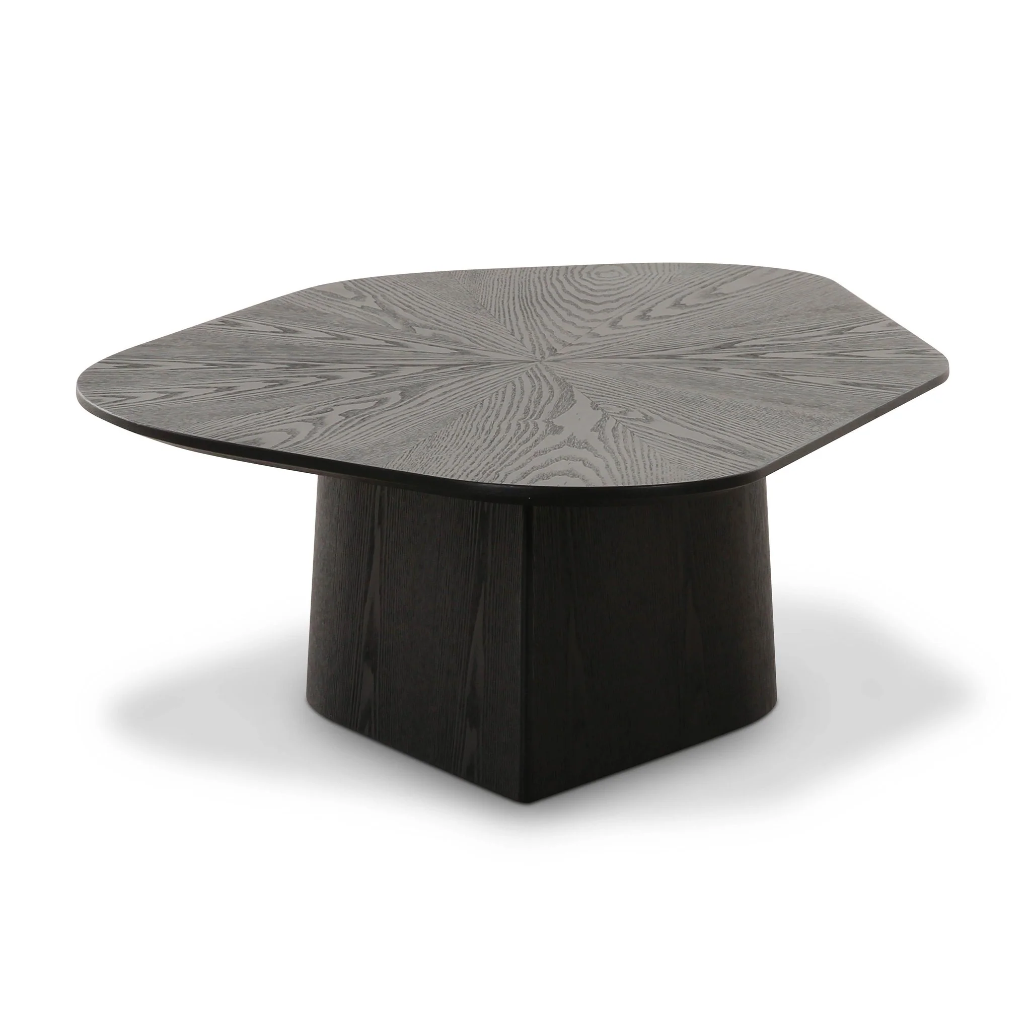 Roche Black Ash Low Coffee Table - Image 8