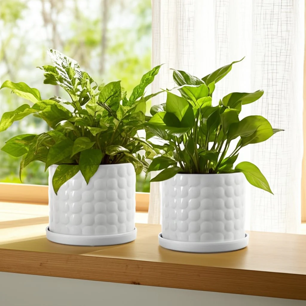 S/2 10/12" Bubble Planter, White - Image 11