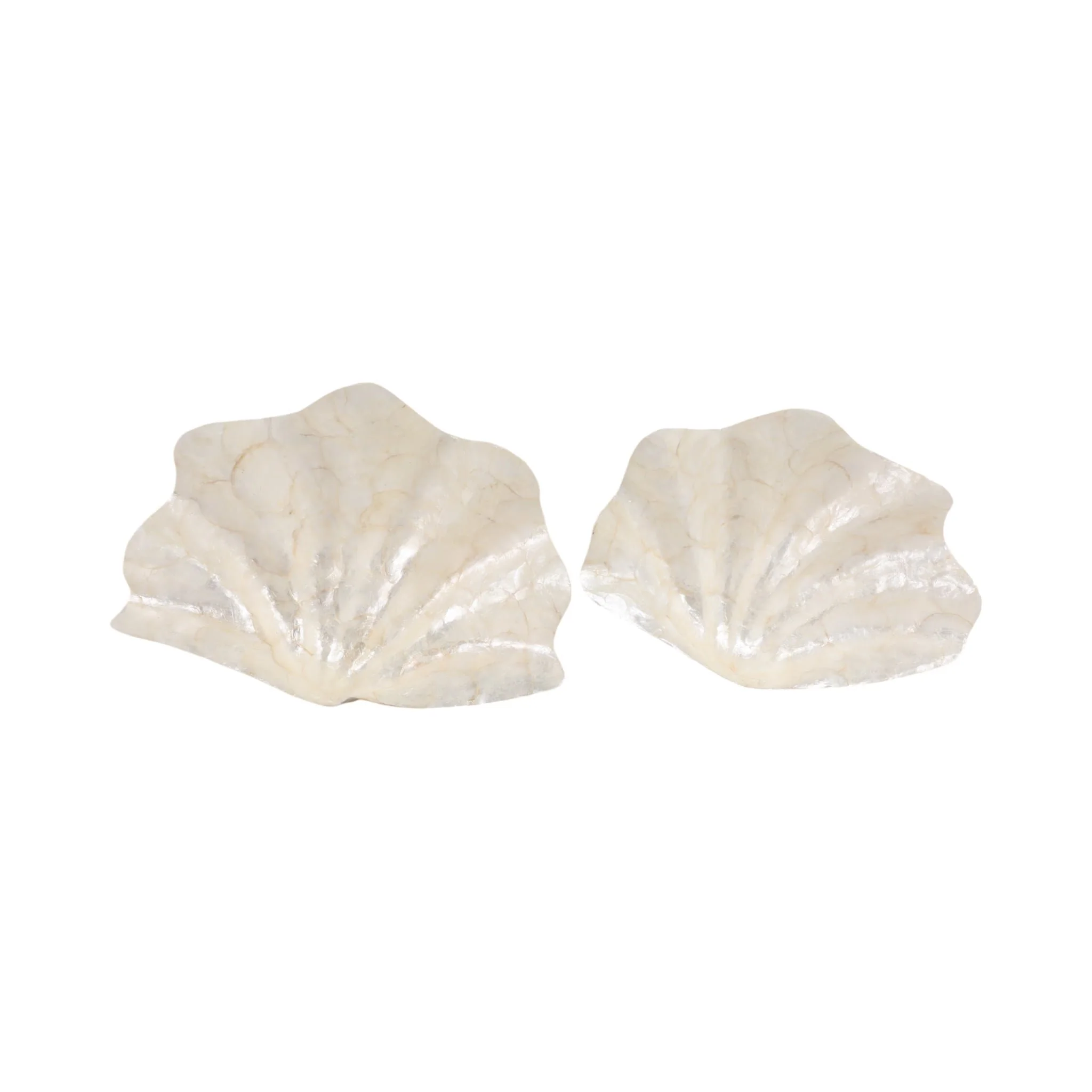 S/2 17"/20" Capiz Shell Shaped Bowls, Ivory - Image 6