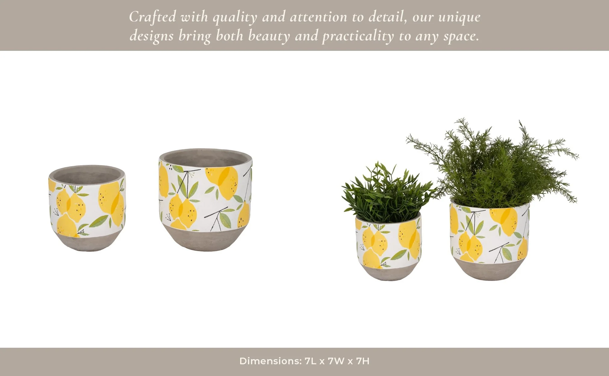 S/2 6/7" Growing Lemons Planter, Multi - Image 12
