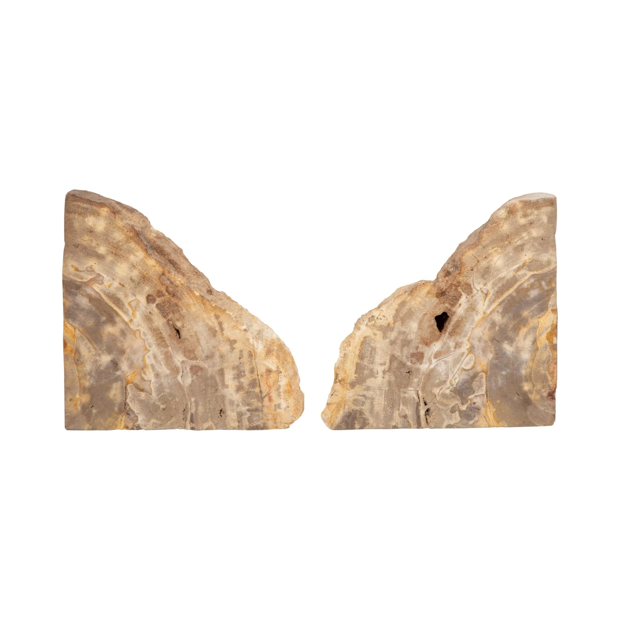 S/2 6" Petrified Wood Bookends, Natural - Image 5