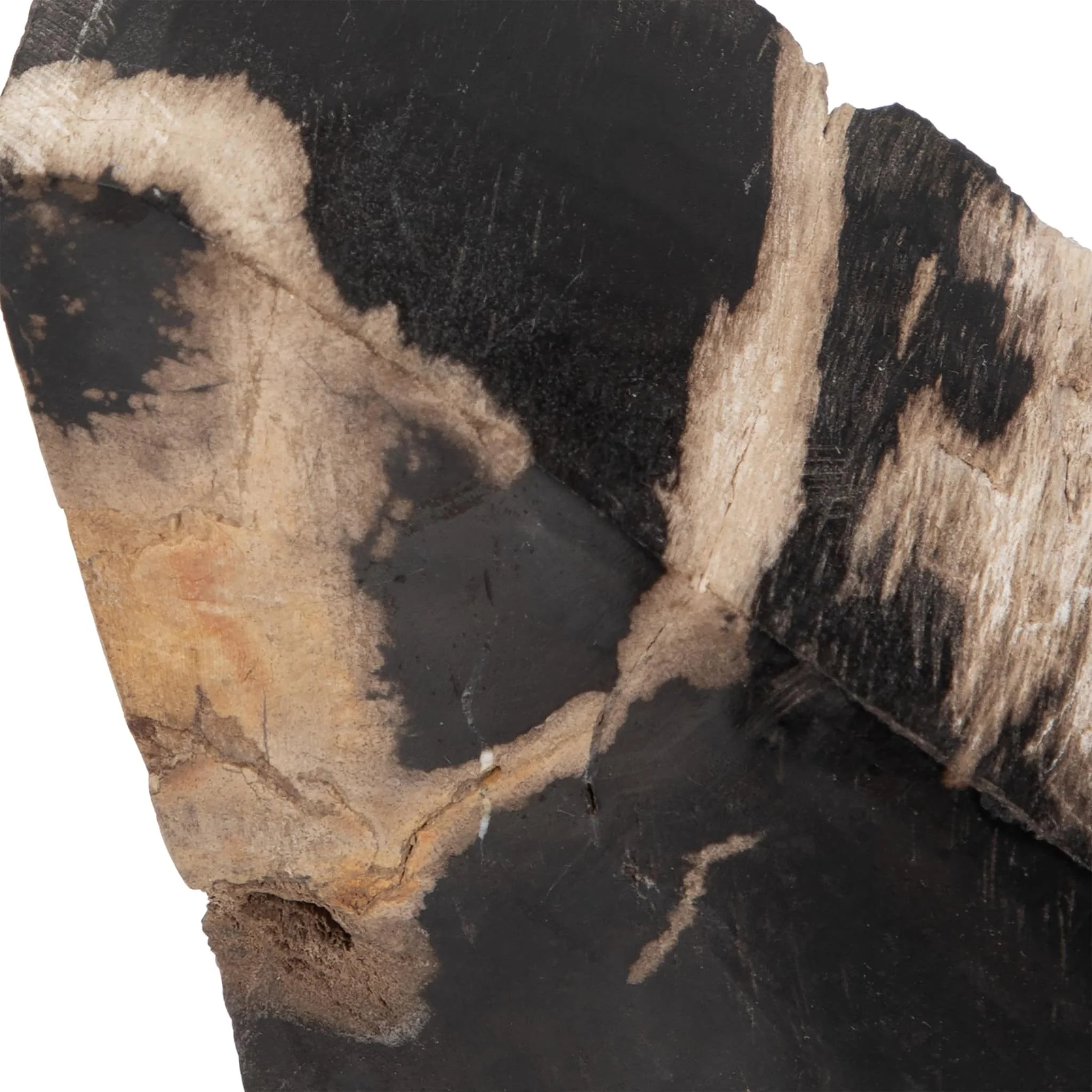 S/2 6" Triangular Petrified Wood Bookends, Natural - Image 6