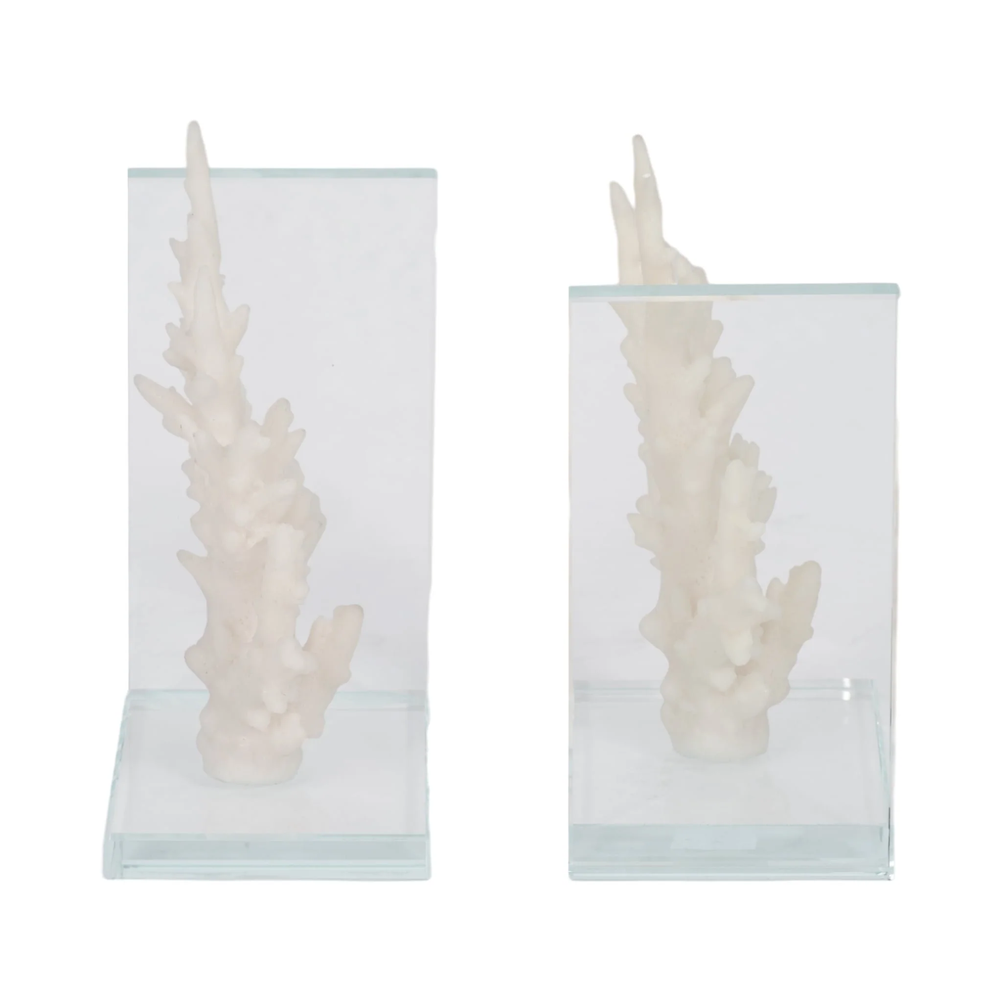 S/2 7" Coral On Glass Bookends, White - Image 5