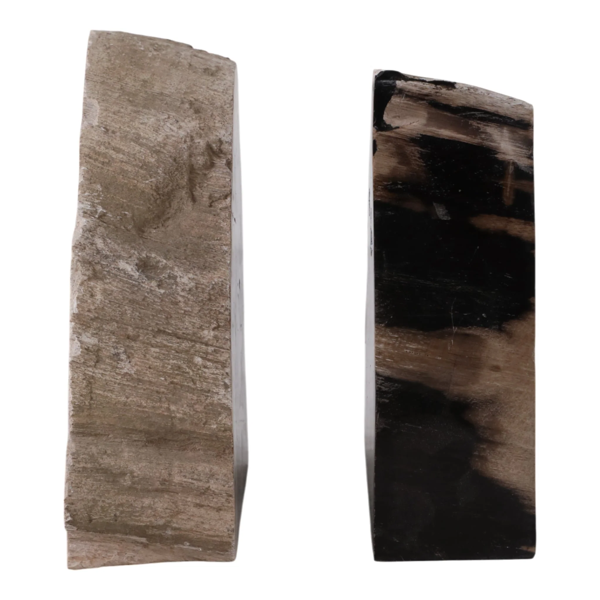 S/2 7" Petrified Wood Bookends, Black/tan - Image 4