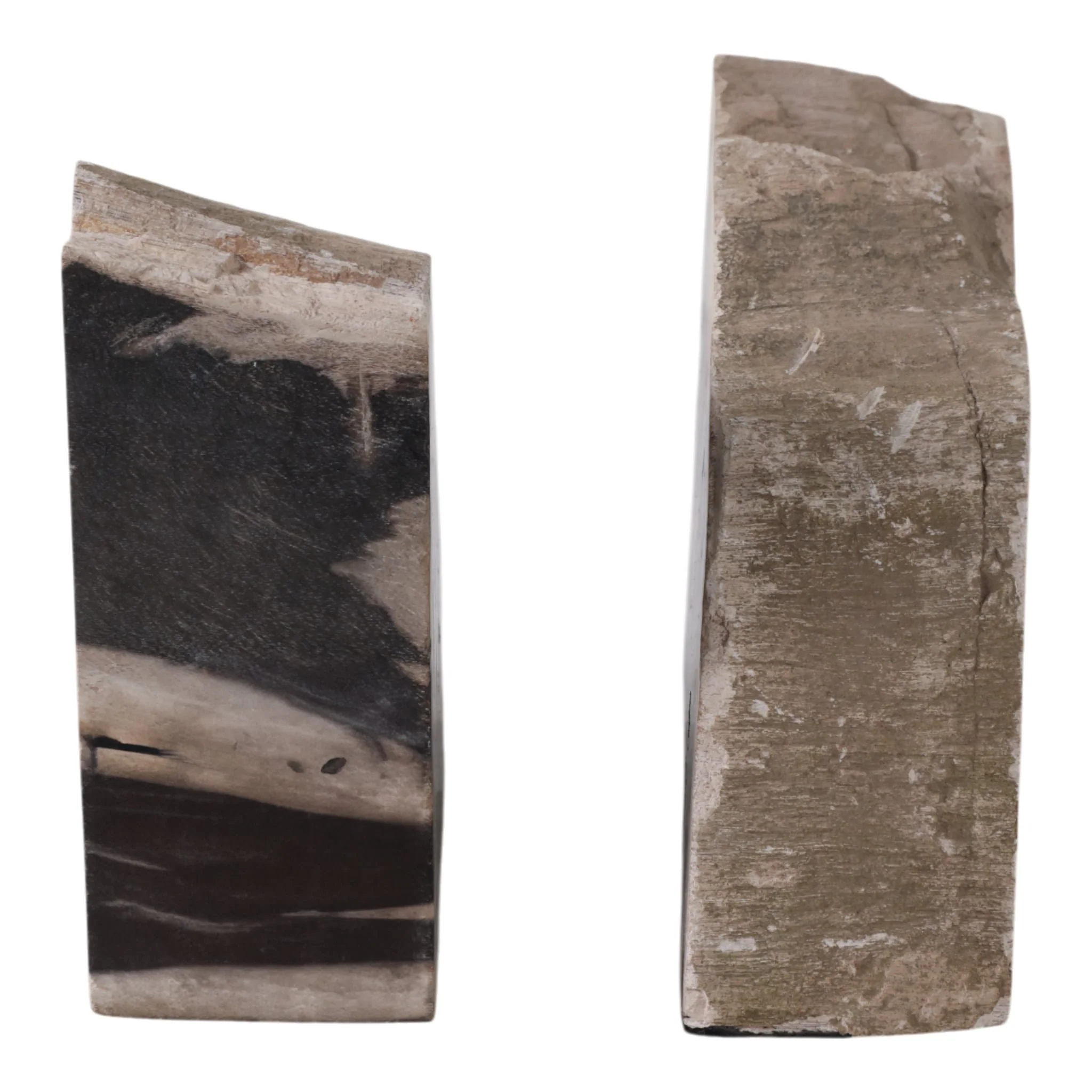S/2 7" Petrified Wood Bookends, Black/tan - Image 5