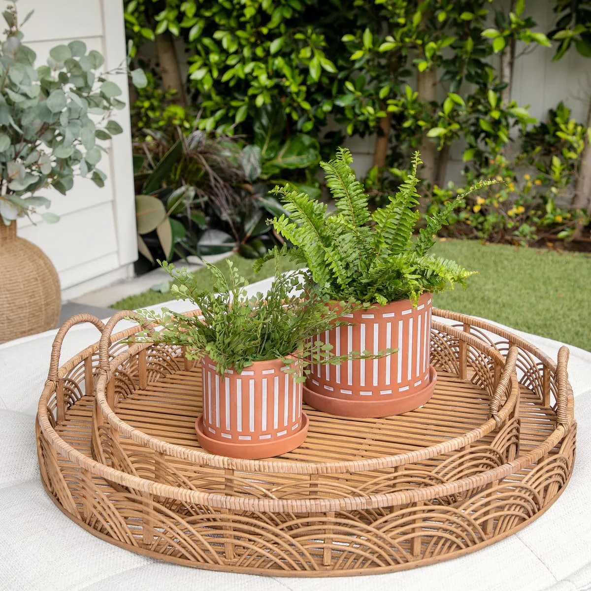 S/2 Terracotta Planters W/ Saucer 6/8", Orange - Image 3