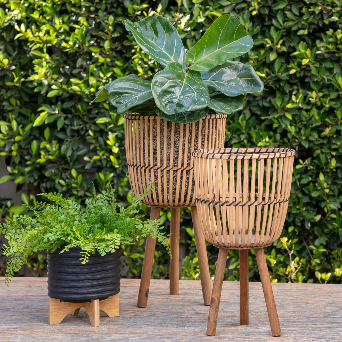 S/2 Wicker Footed Planters 10/12", Natural - Image 8