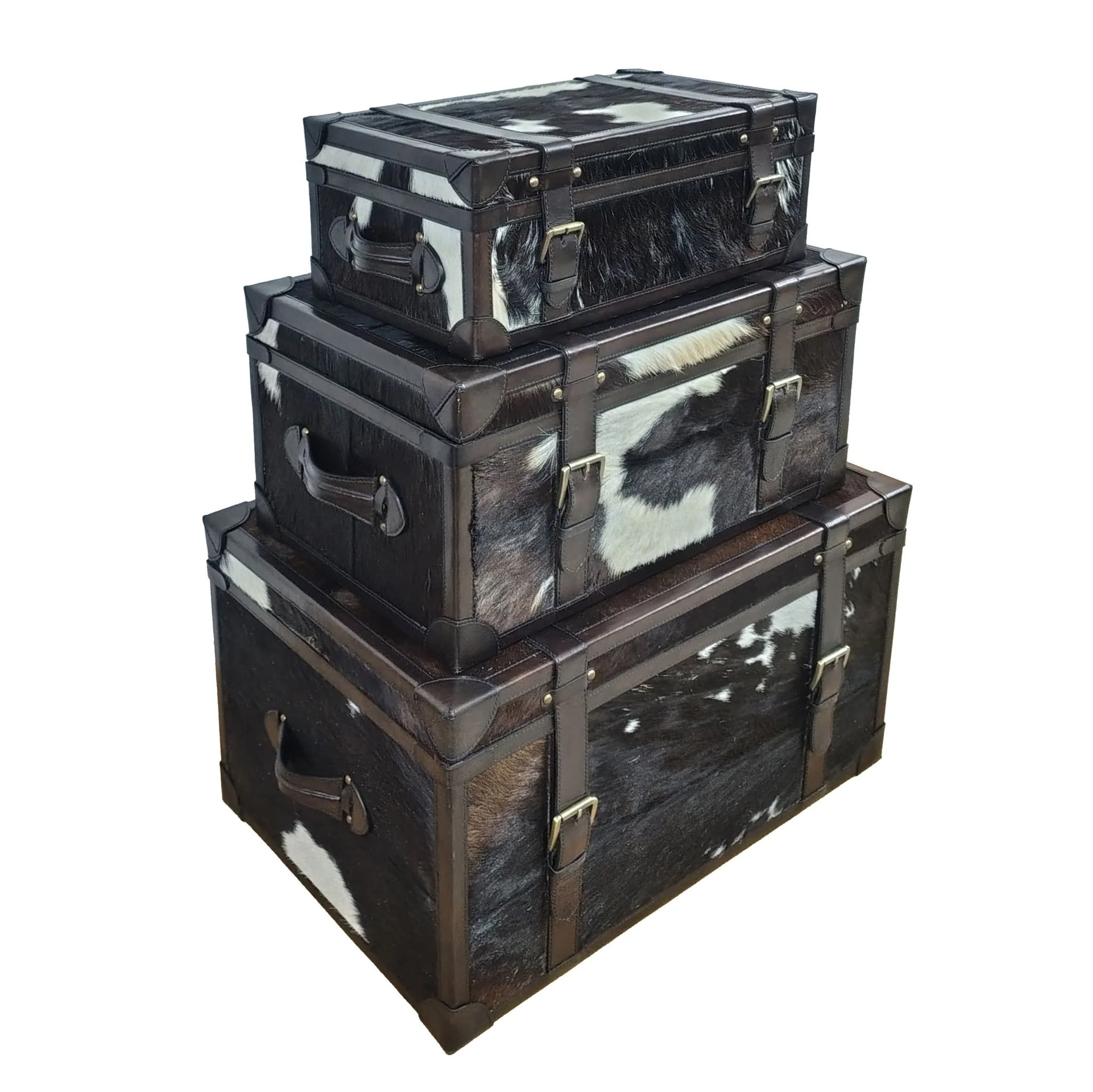 S/3 19/23/27" Hair On Hide Cow Print Trunks, Multi - Image 3