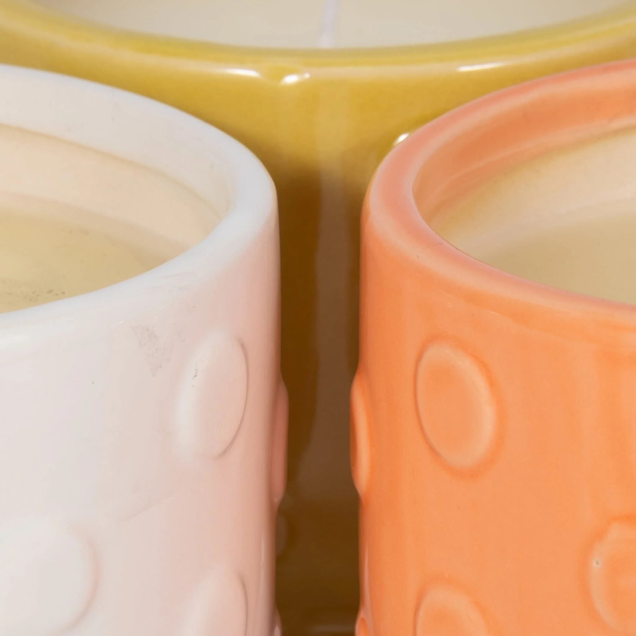 S/3, 5" Big Dot Footed Planter, Citro Candle 16oz - Image 4
