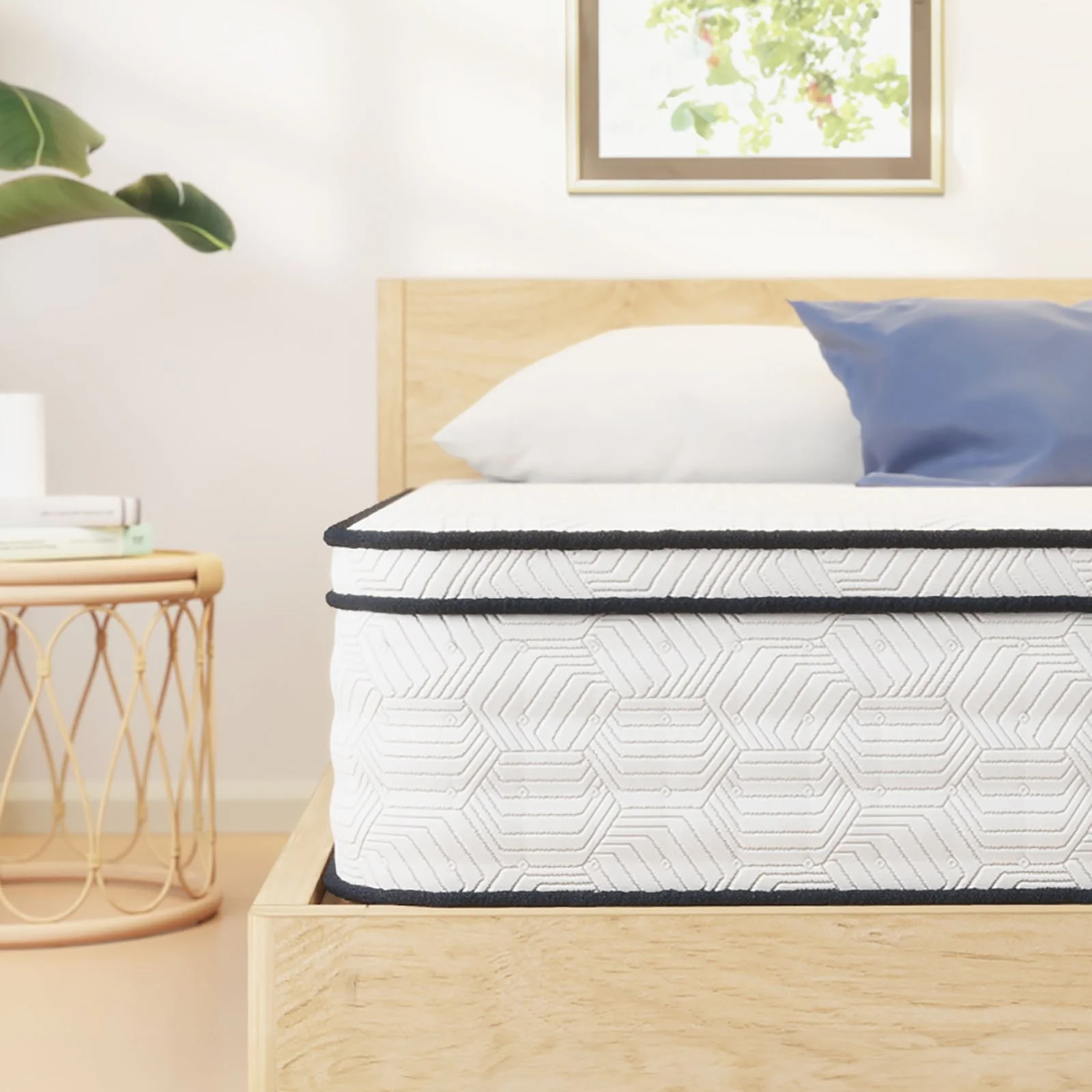 Salvia 12" Queen Euro Top Mattress - Image 2