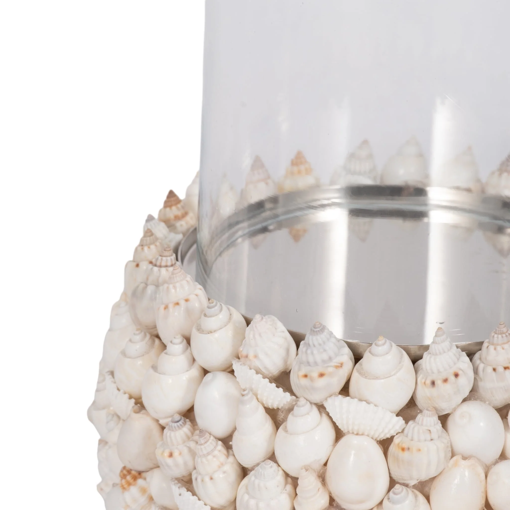 Shell, 9" Hurricane, White - Image 4