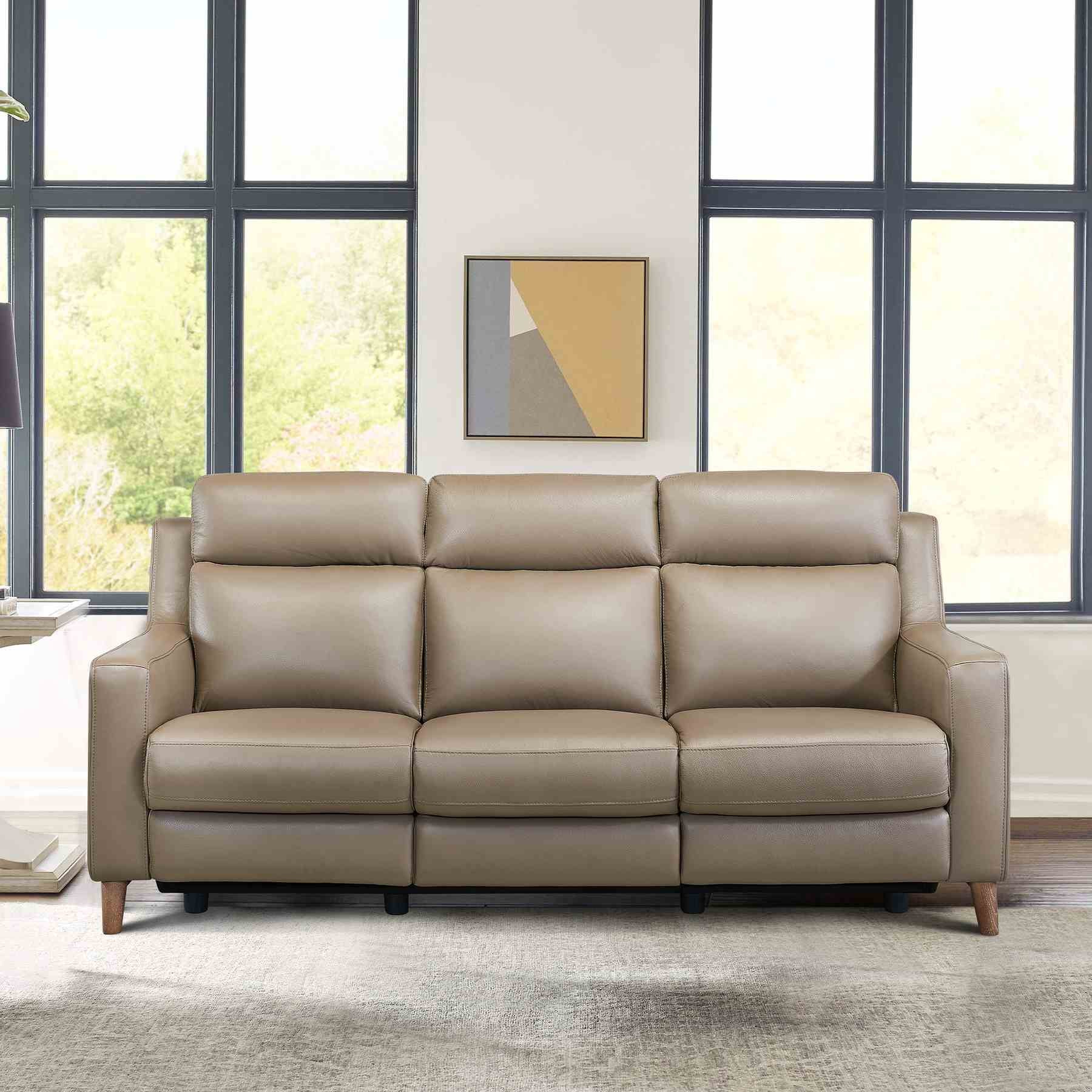 Wisteria Contemporary Sofa in Light Brown Wood Finish and Taupe Genuine Leather - Image 10
