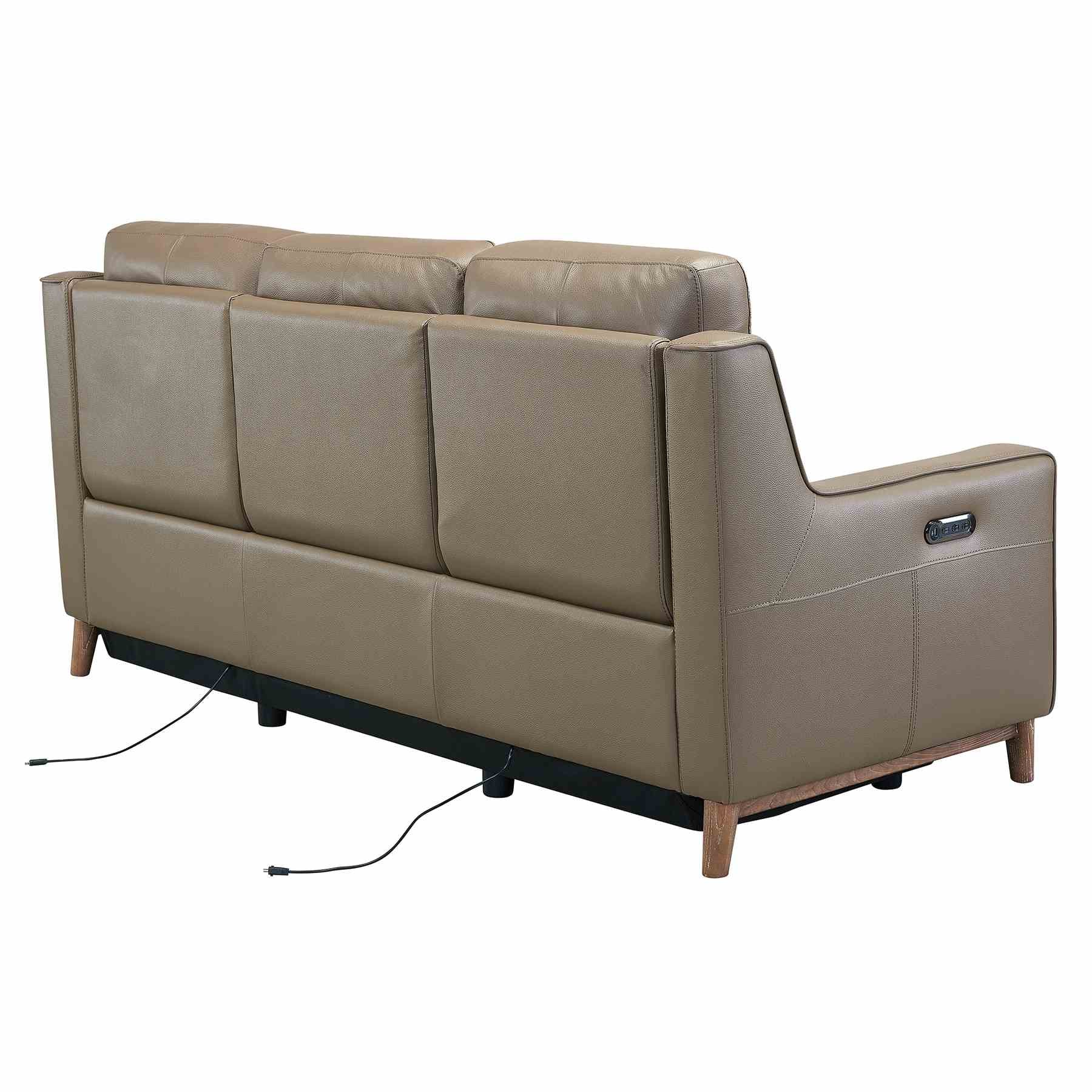 Wisteria Contemporary Sofa in Light Brown Wood Finish and Taupe Genuine Leather - Image 4