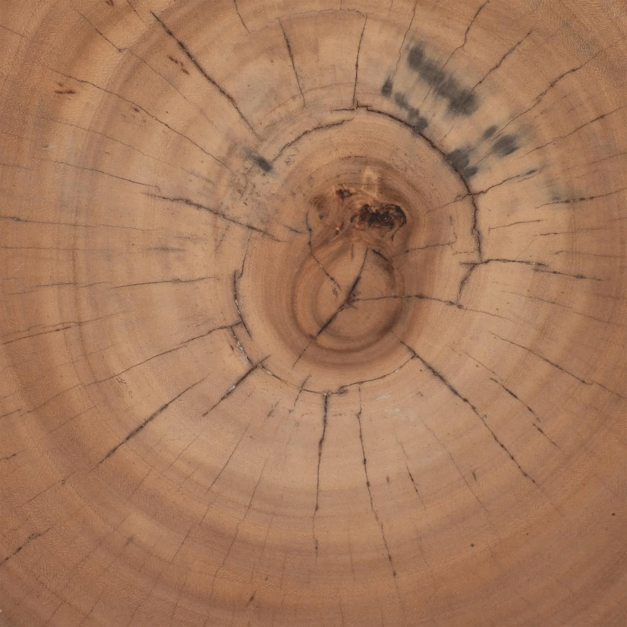 Wood, 25x16 Coffee Table Stump, Natural - Image 5