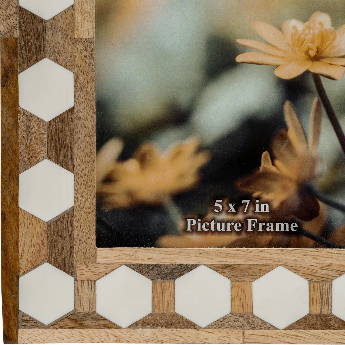 Wood/resin,5x7 Hexagon Frame, White - Image 3