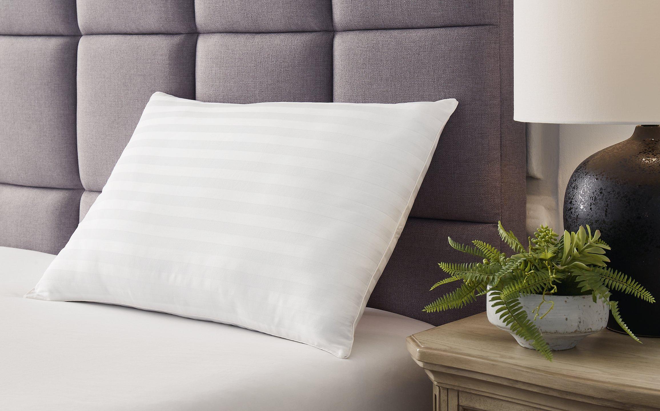 Zephyr 2.0 Pillow (Set of 2)(9/Case) - Image 2